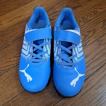 PUMA 축구화 파랑 스트랩 포함