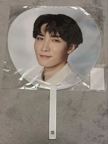 와타나베 쇼타 RAYS 부채