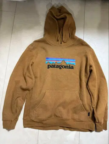 patagonia 브라운 후디 L 사이즈
