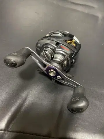 DAIWA STEEZ A TW 1016XH