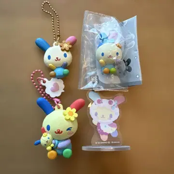 우사하나 4세트