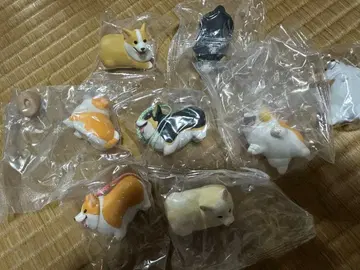 코기 산책 전 종류 가챠가챠 코기