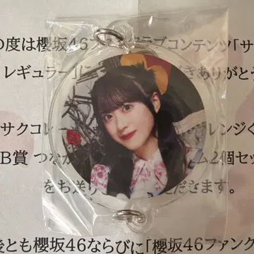 사쿠라자카 이어지는 참 사쿠콜레