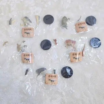 공룡 도감 스탠드 피규어 5종 컴플리트 묶음 판매 가챠가챠