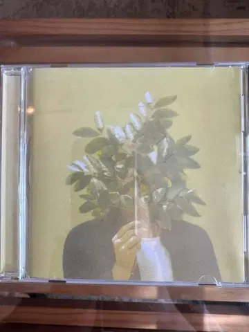 프렌치 키위 주스
