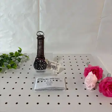 CASIO 아날로그 손목시계 브라운 가죽