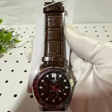 CASIO 아날로그 손목시계 브라운 가죽