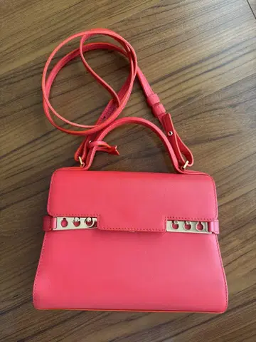 새상품급 DELVAUX 탕페트 pm 카프 가죽