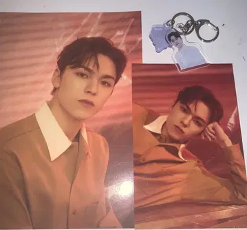 버논 모음 하이 인사이트