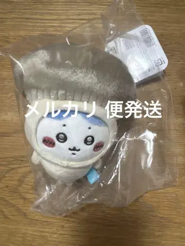 계절이니까 마스코트 할로윈 봉제 인형 하치와레 버섯