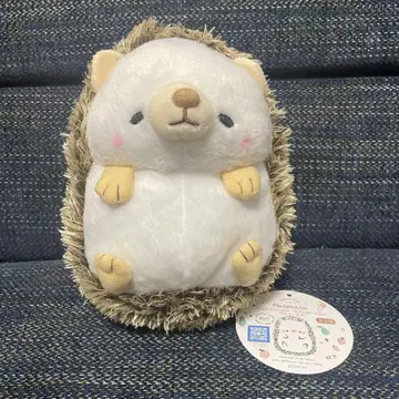 마루마루 하리마루 미들 봉제 인형 리뉴~마루 타레메