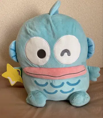 한교동 봉제 인형