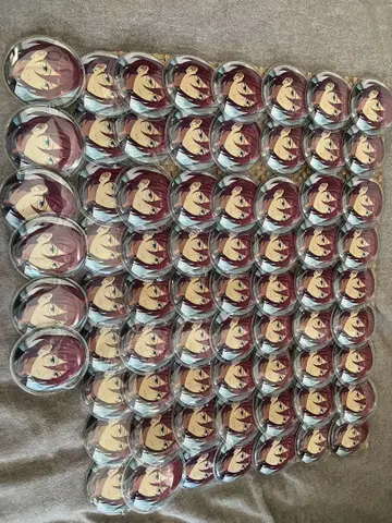 앙스타 사에구사 이바라 캔뱃지 69개