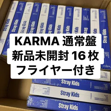 Stray Kids 스키즈 karma 일반ver 세트 16개