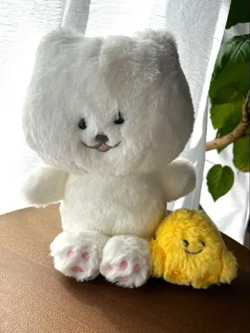 호와코로짱 병아리 보짱 봉제 인형 세트