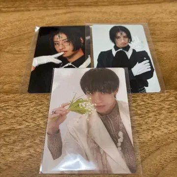 용궁성 Ray 트레이딩 카드