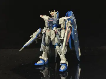 (조립 완료) RG 프리덤 건담 엑스트라 피니시