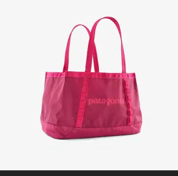 patagonia 블랙홀 토트 25L
