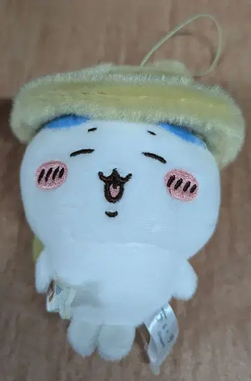 치이카와 (먼작귀) 가을이다옹 마스코트 하치와레