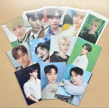 SEVENTEEN 디노 트레이딩 카드 묶음 판매