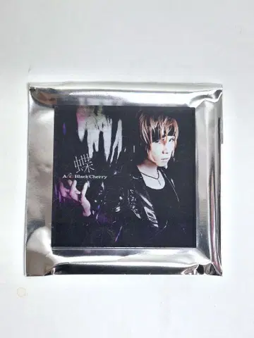 Acid Black Cherry 아크릴 마그넷 B 나비 ABC yasu