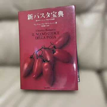 신 파스타 법전 빈첸초 부오나시지 저