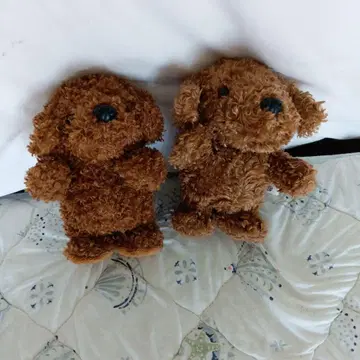 브라운색 강아지 봉제 인형 2개 세트