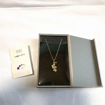 [신뇨엔] 영조 탄생 백주년 기념 배포품 육대륙 펜던트