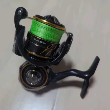 다이와 21 디아 2500 DAIWA CALDIA