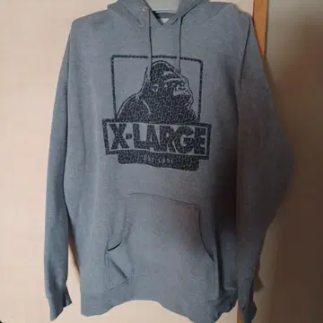 XLARGE 후드티