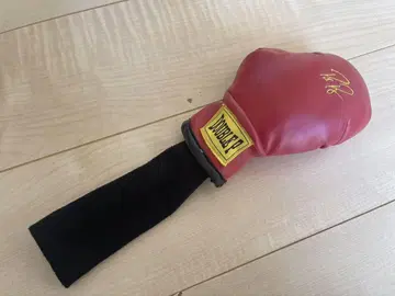 위닝 엣지 팻 페레즈 복싱 그로브 UT용