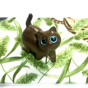 만박 수단 고양이