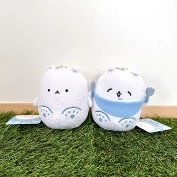 미사용 택 포함 모찌곰 봉제 인형 마스코트 2개 세트 소유 한정판