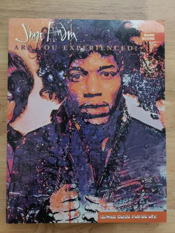 밴드 스코어 지미 헨드릭스 Are You Experienced
