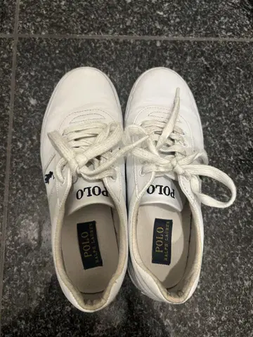 Polo 화이트 스니커즈