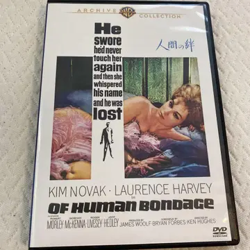 인간의 유대 dvd