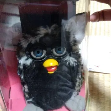 퍼비