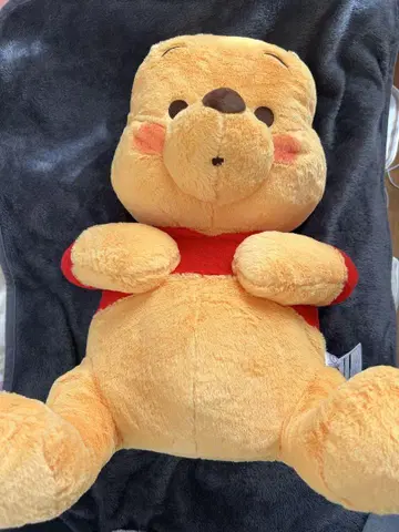 디즈니 곰돌이 푸 BIG 봉제 인형