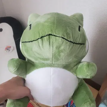 포켓몬 대타 봉제 인형