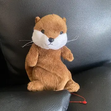 봉제 인형