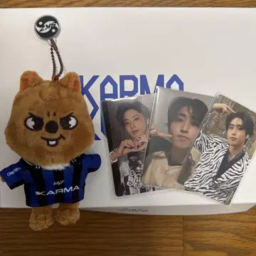 Stray Kids KARMA SKZOO 한크 보드카