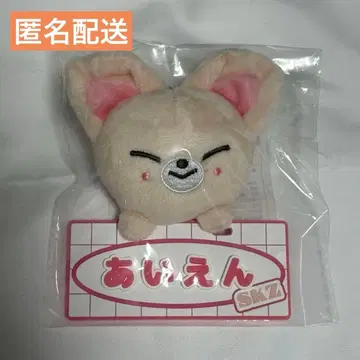 straykids Foxl.Ny 아이엔 네임 백참