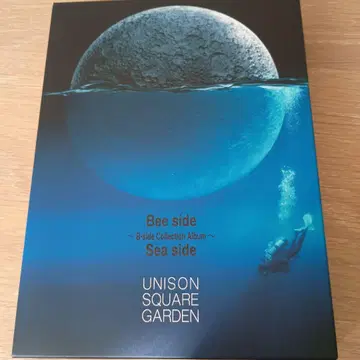 UNISON SQUARE GARDEN Bee side Sea side