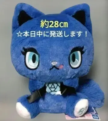 [ 기념일 BIG 봉제 인형]