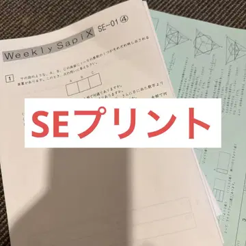 SE 프린트 1~18