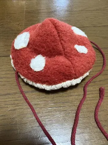 브라이스 모자