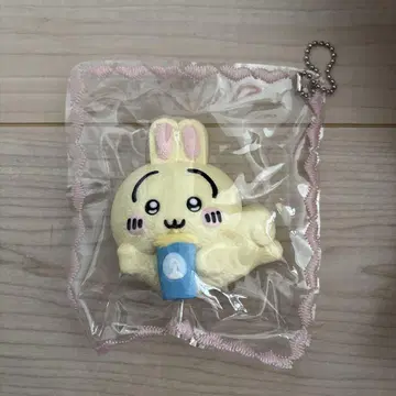 해외 스퀴즈
