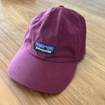 patagonia 버건디 캡