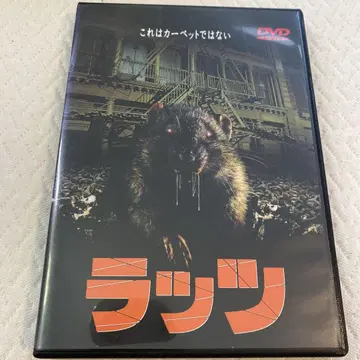 랏츠 DVD 등표지 약간 퇴색 있음