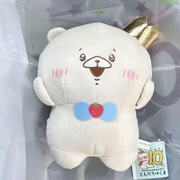10번째 친구곰 10주년 기념 벌스데이 봉제 인형 BIG